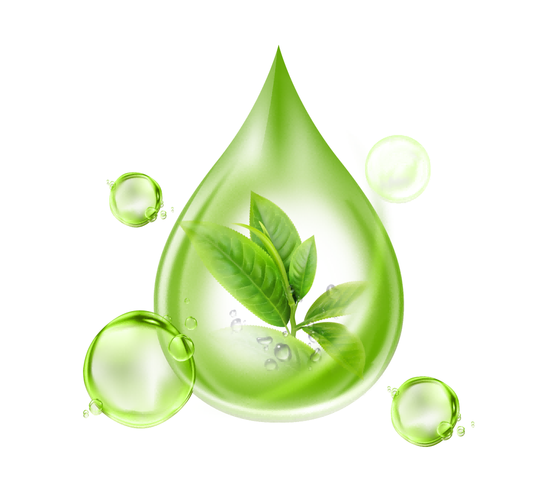 冬凌草糖浆包装设计